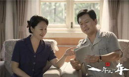 一年又一年电视剧,光影交织——一年又一年电视剧概览