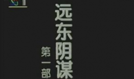远东阴谋 电视剧,揭秘二战前夕的暗流涌动
