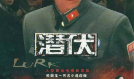 潜伏 电视剧,谍影重重，暗战风云