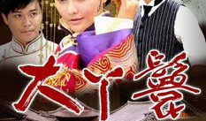 民国的电视剧,传奇家族的兴衰传奇