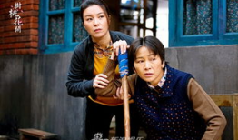 一树桃花开电视剧