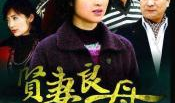 贤妻良母电视剧,演绎家庭和谐的艺术