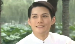 严屹宽电视剧,演绎传奇人生，电视剧中的魅力风采