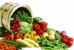 新人冲百粉吃瓜爆料,吃瓜群众热议不断