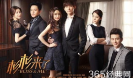 12电视剧,揭秘历史风云，探寻时代印记