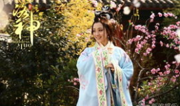 新洛神电视剧剧情介绍,传奇再现，风华绝代