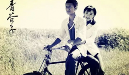 青谷子电视剧,青春岁月里的奋斗传奇