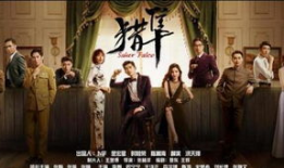猎隼电视剧,揭秘特工世界，信仰与忠诚的较量