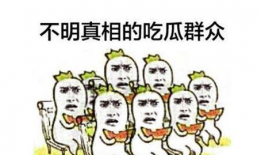 吃瓜群众爆料平台合法吗,合法性与社会监督的边界探讨
