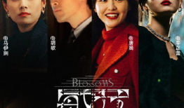 繁花电视剧,都市烟火与人情冷暖的交织画卷
