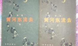 黄河东流去 电视剧,波澜壮阔的中华民族史诗