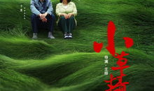小草青青电视剧全集,青春岁月里的奋斗与成长
