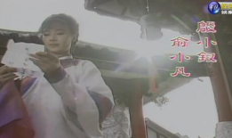 梅花三弄电视剧