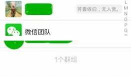 怎么找吃瓜爆料群微信号,轻松加入吃瓜爆料群，获取独家微信号攻略